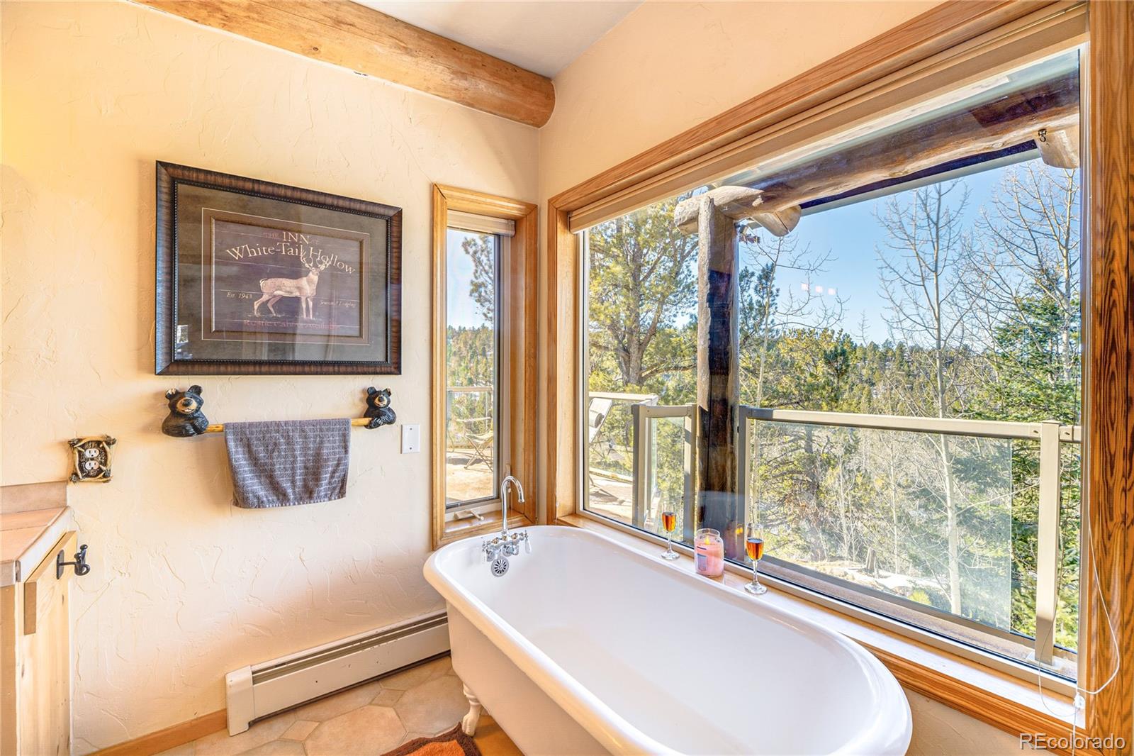 528 Mohawk Heights Florissant CO 80816