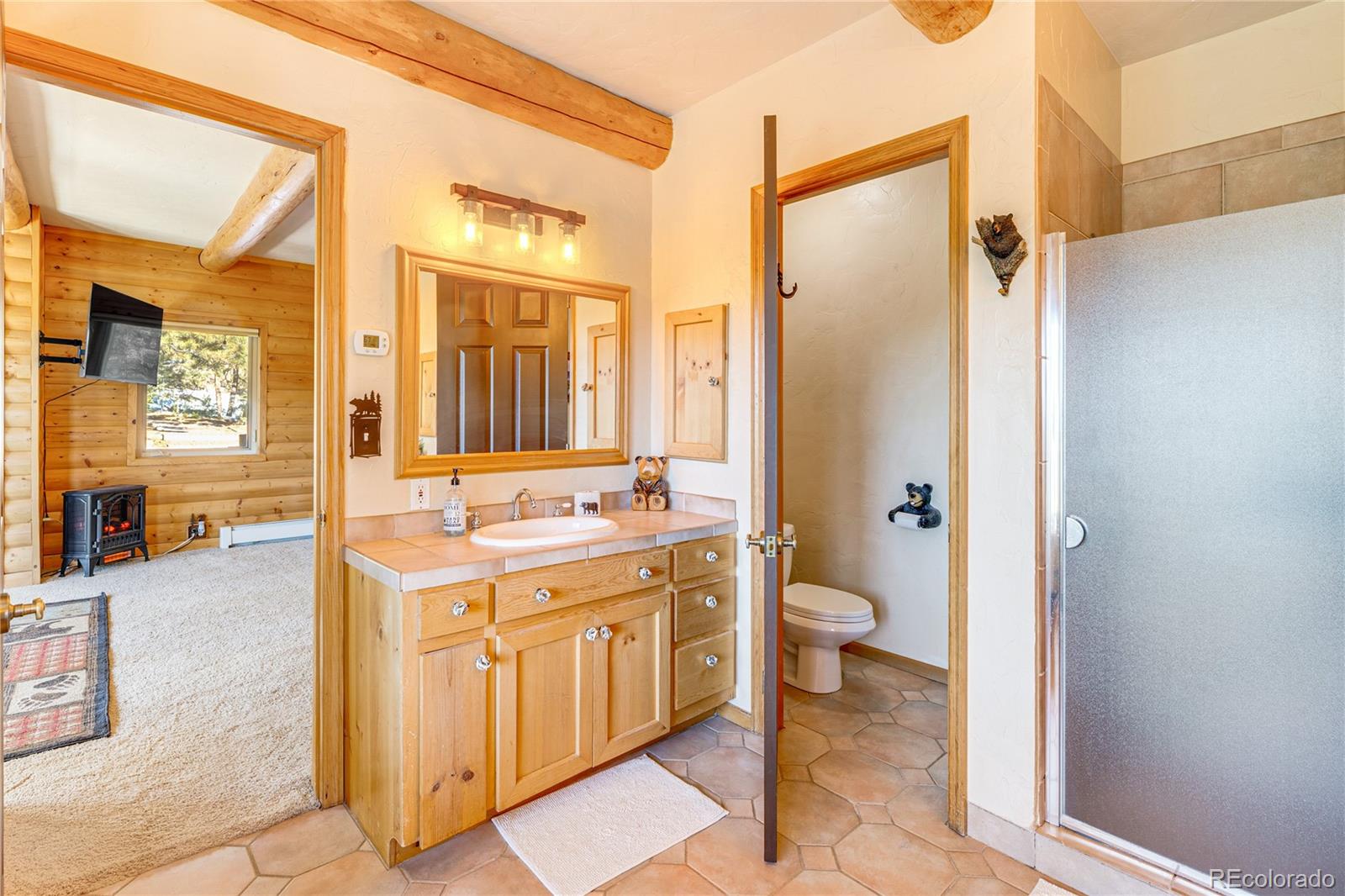 528 Mohawk Heights Florissant CO 80816