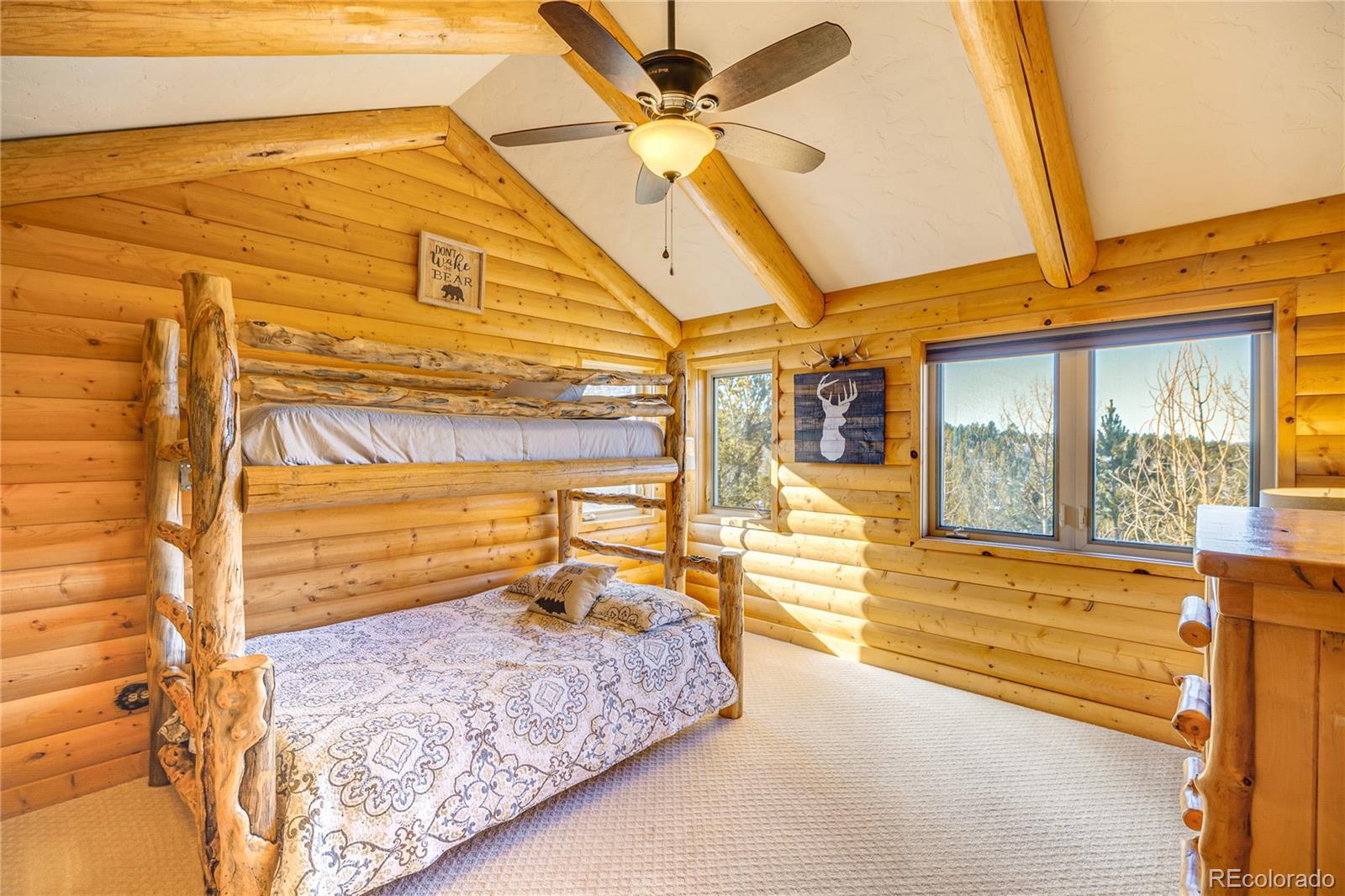 528 Mohawk Heights Florissant CO 80816