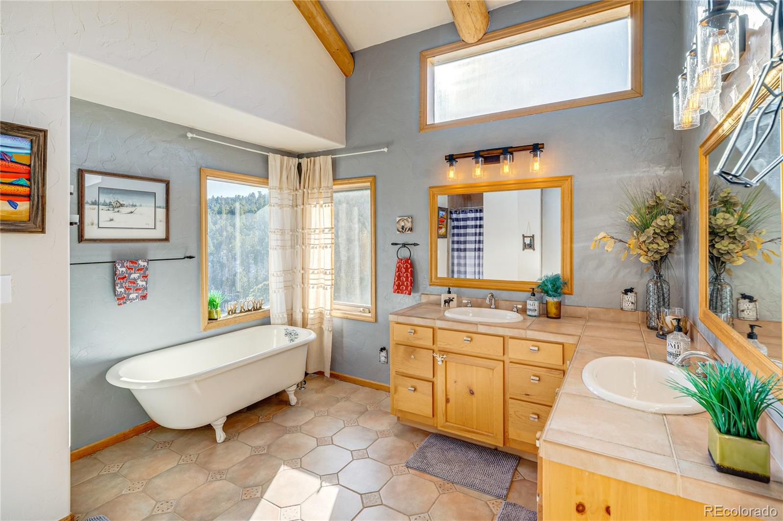 528 Mohawk Heights Florissant CO 80816