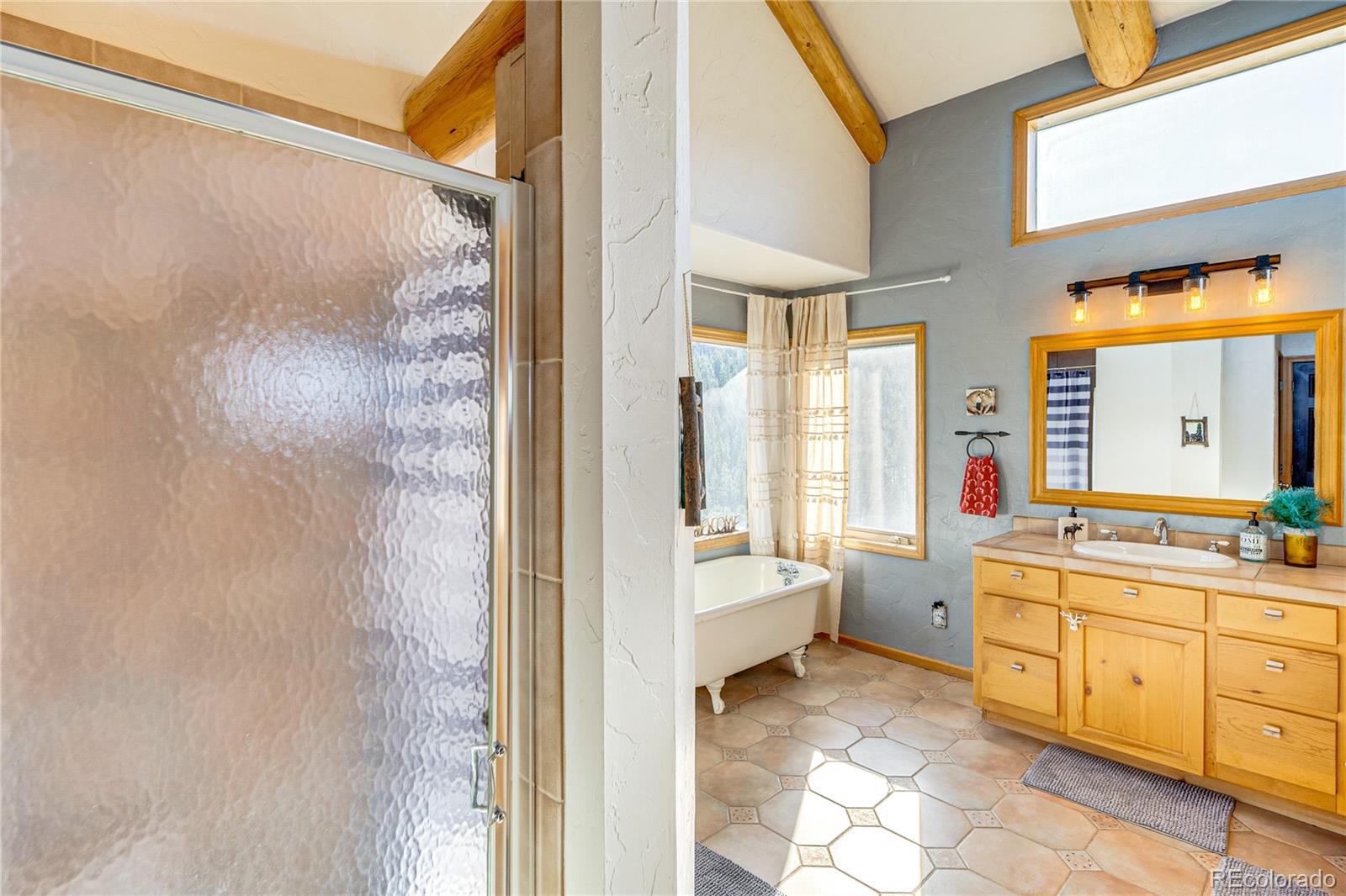 528 Mohawk Heights Florissant CO 80816
