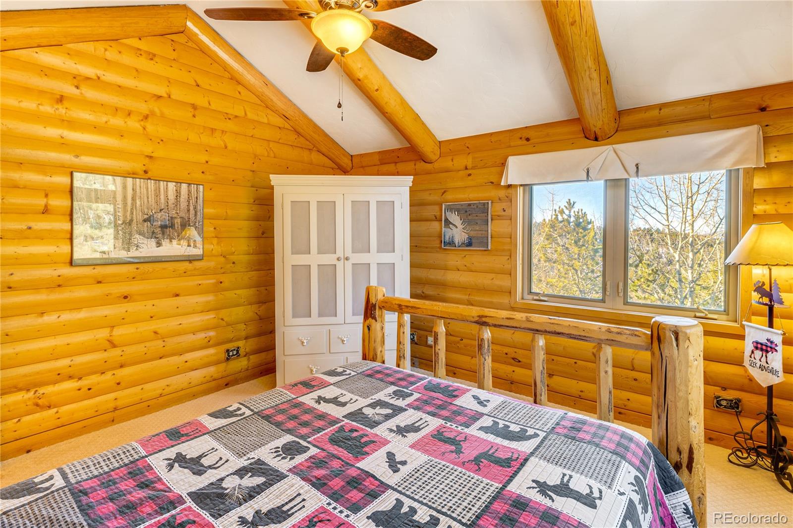 528 Mohawk Heights Florissant CO 80816