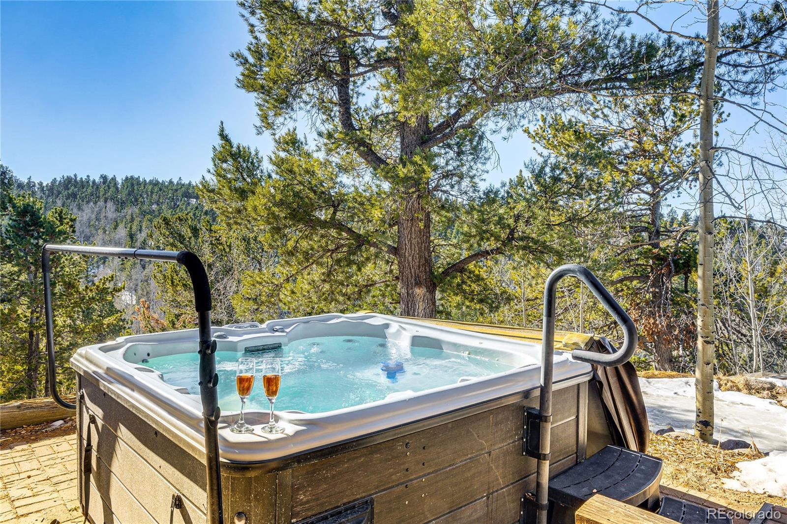 528 Mohawk Heights Florissant CO 80816