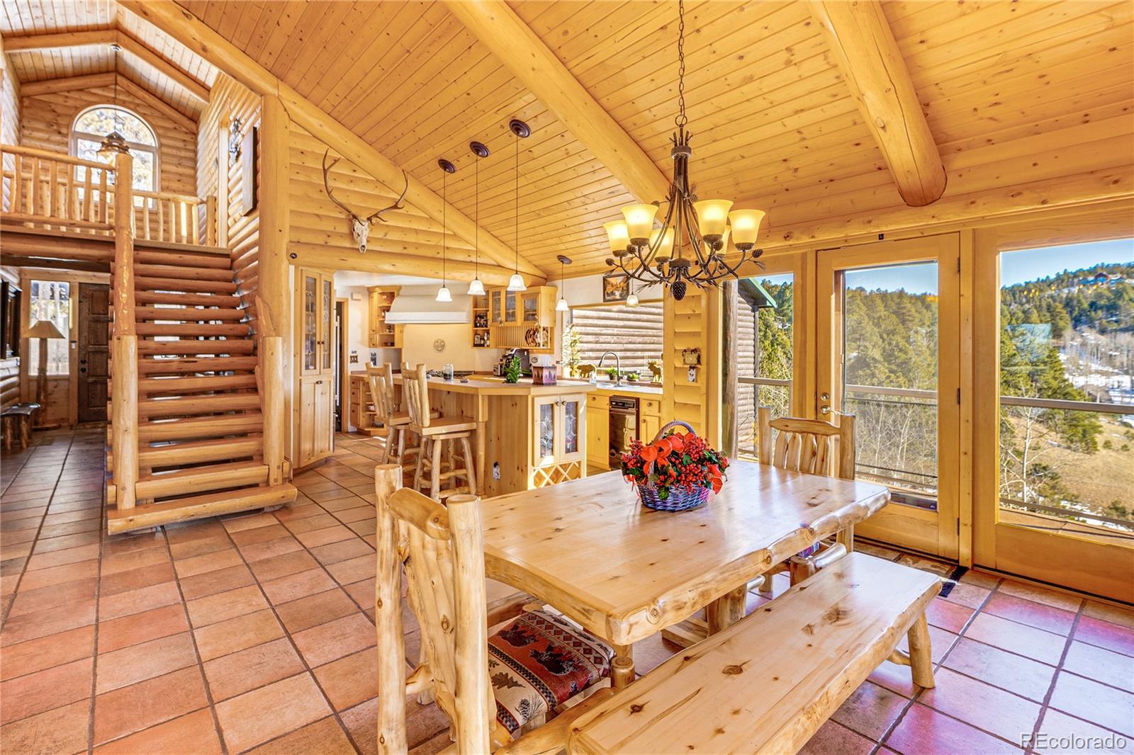 528 Mohawk Heights Florissant CO 80816
