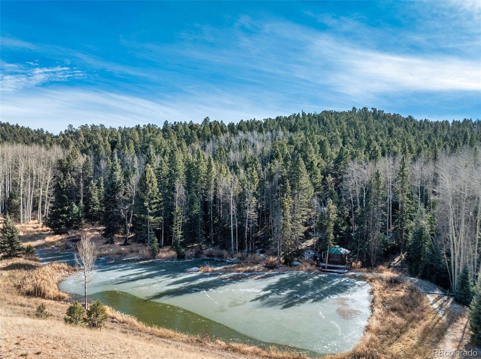 528 Mohawk Heights Florissant CO 80816