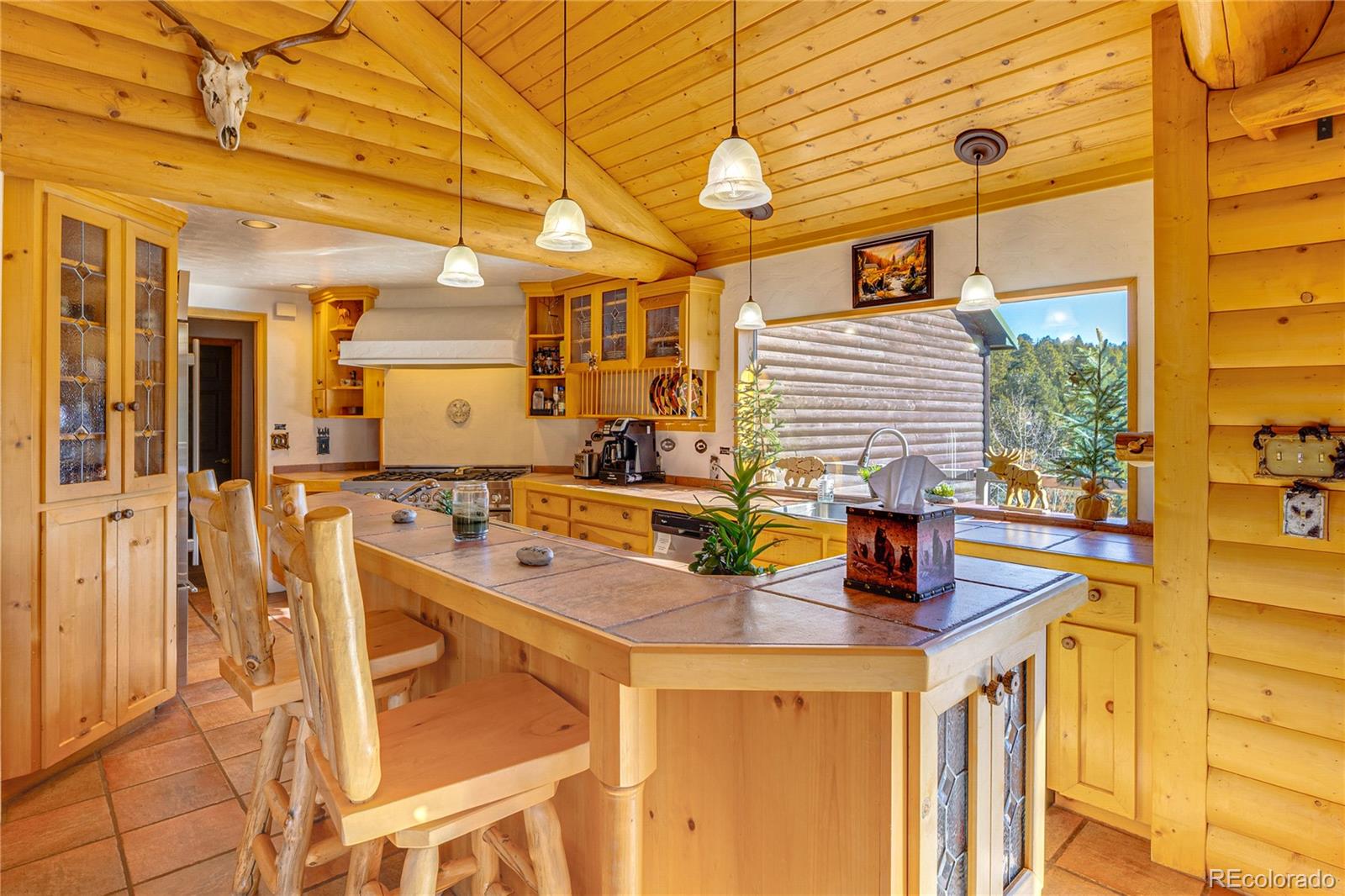 528 Mohawk Heights Florissant CO 80816