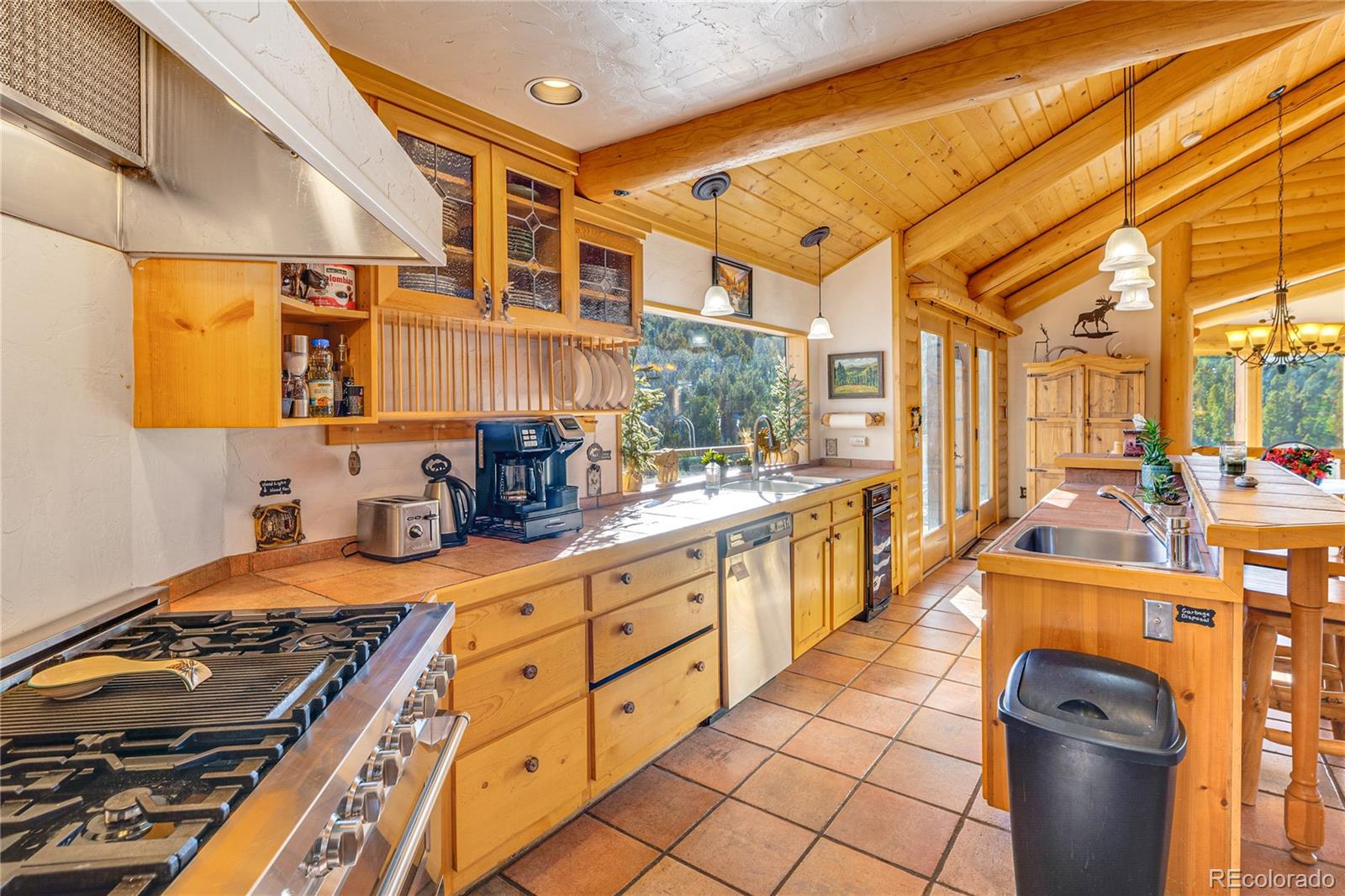 528 Mohawk Heights Florissant CO 80816