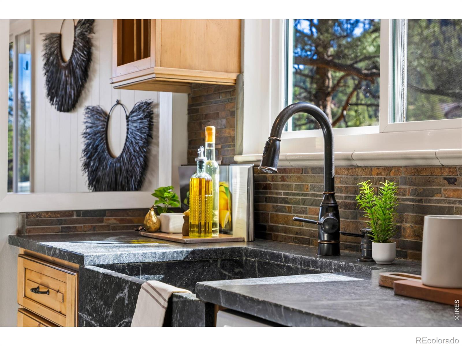 1104 Willow Court Estes Park CO 80517