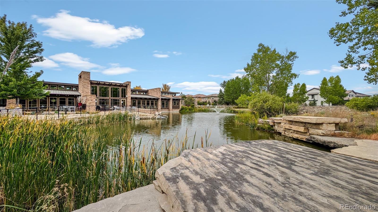 683 Tiger Lily Way Highlands Ranch CO 80126