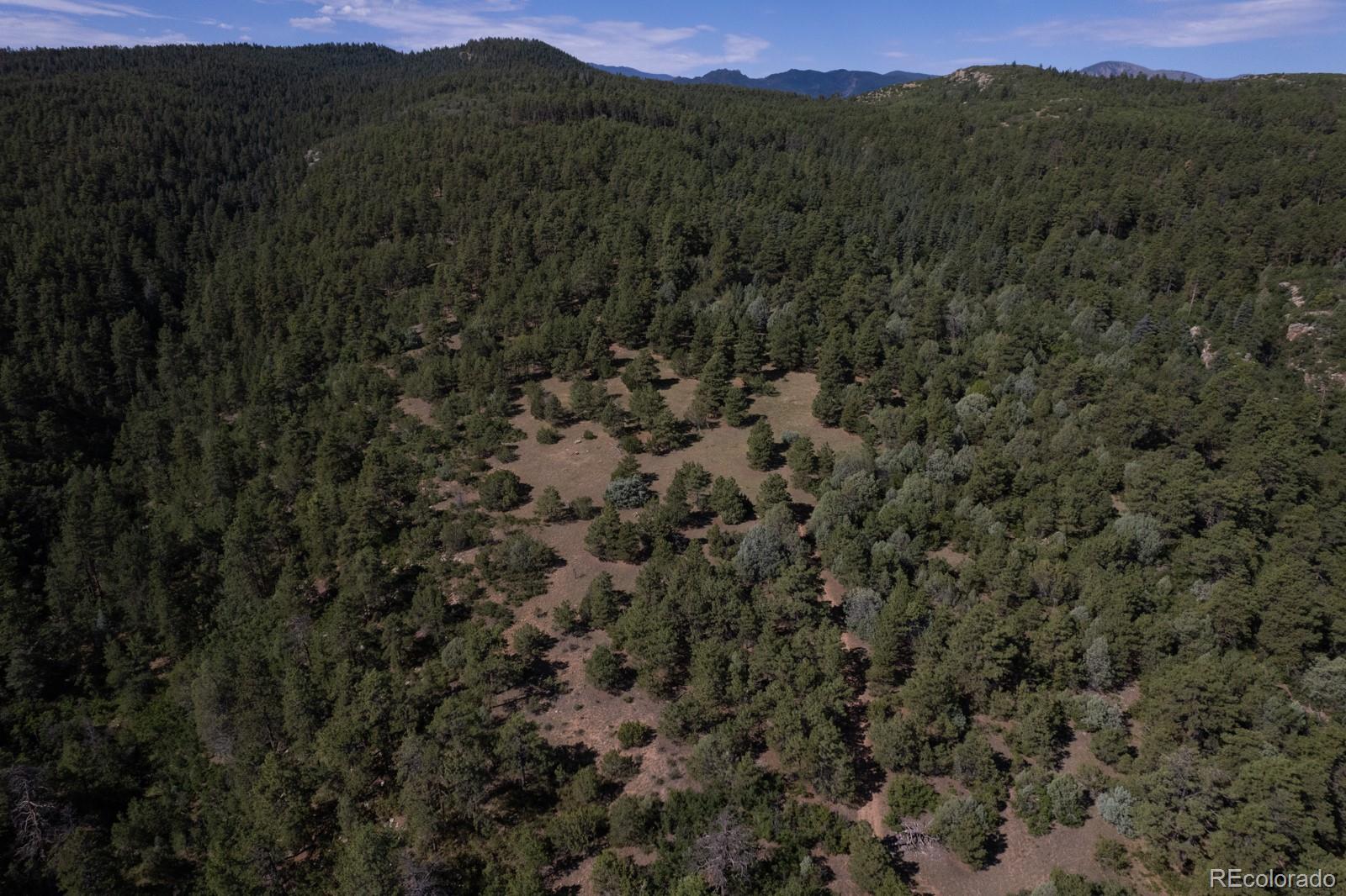 8716 National Forest Drive Beulah CO 81023