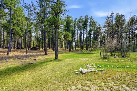 16044 Pole Pine Point Colorado Springs CO 80908