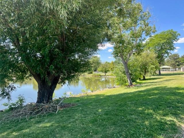 1427 Sanborn Place Longmont CO 80501