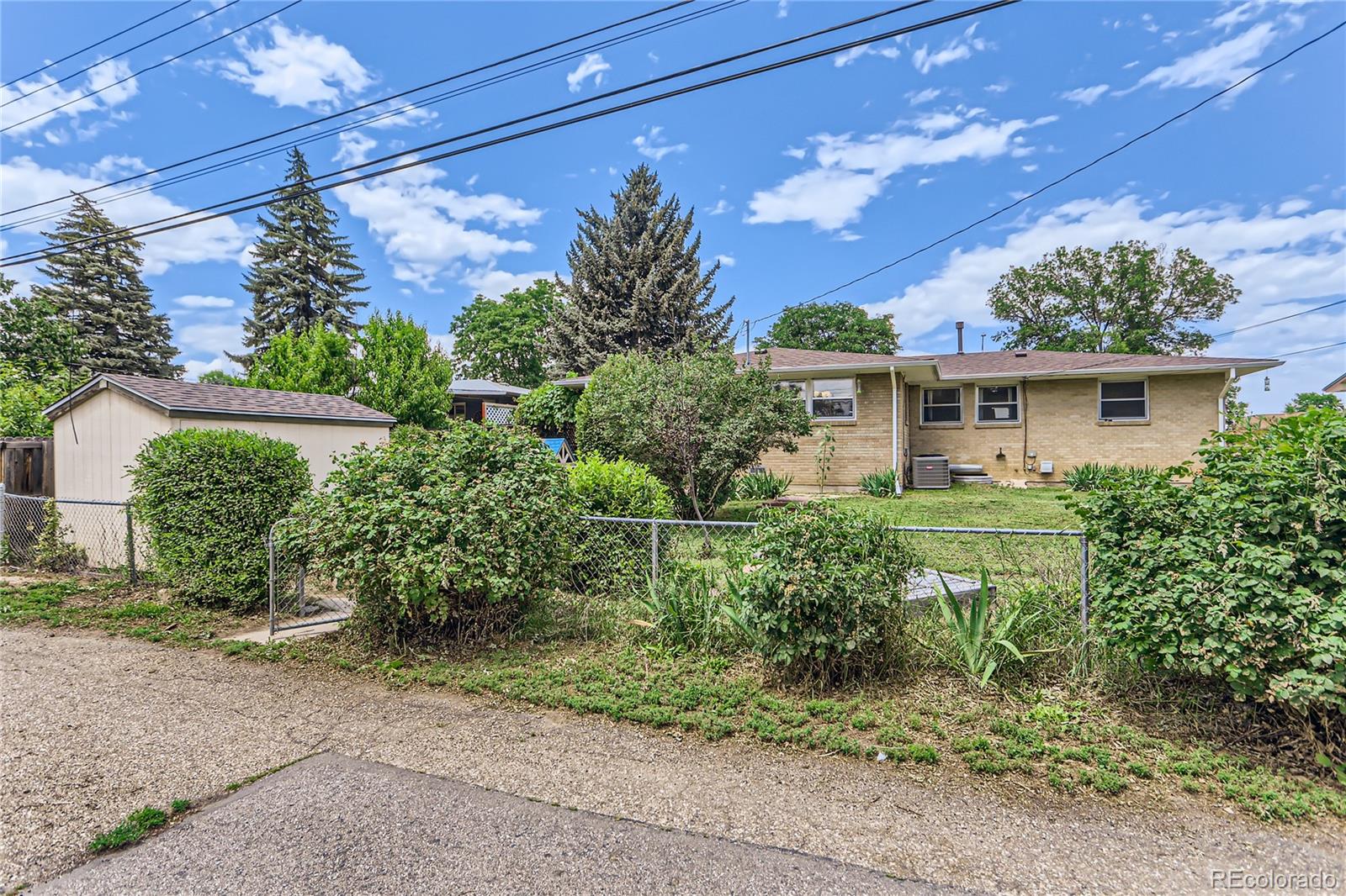 1427 Sanborn Place Longmont CO 80501