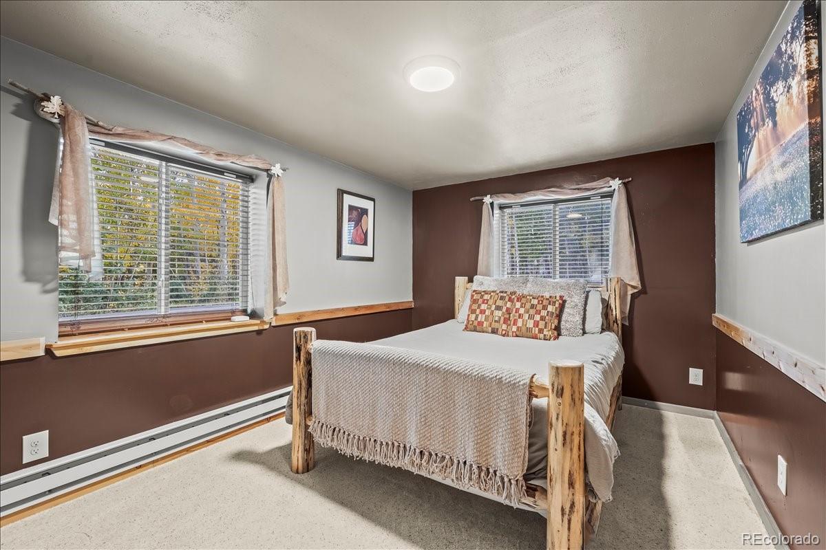 1119 Venture Road Road Fairplay CO 80440