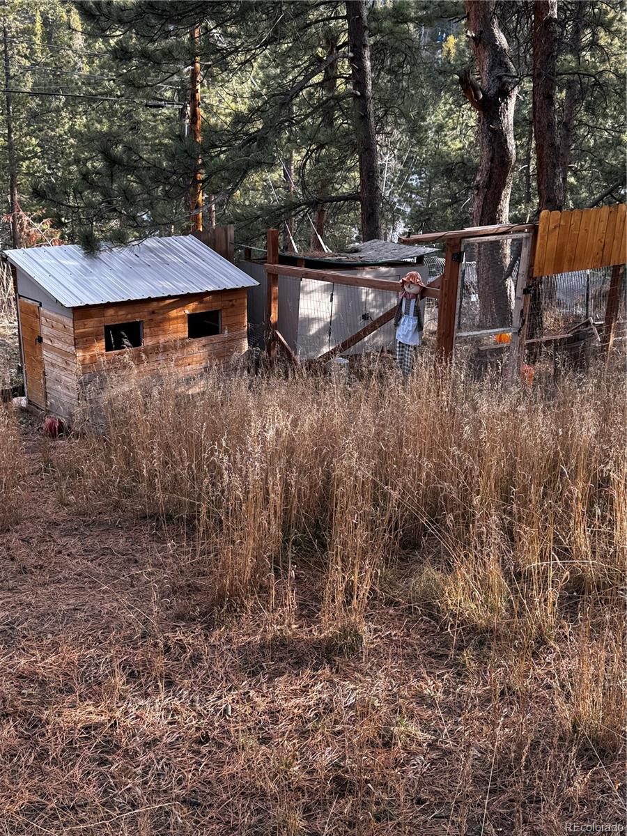 10627 Twin Spruce Road Golden CO 80403