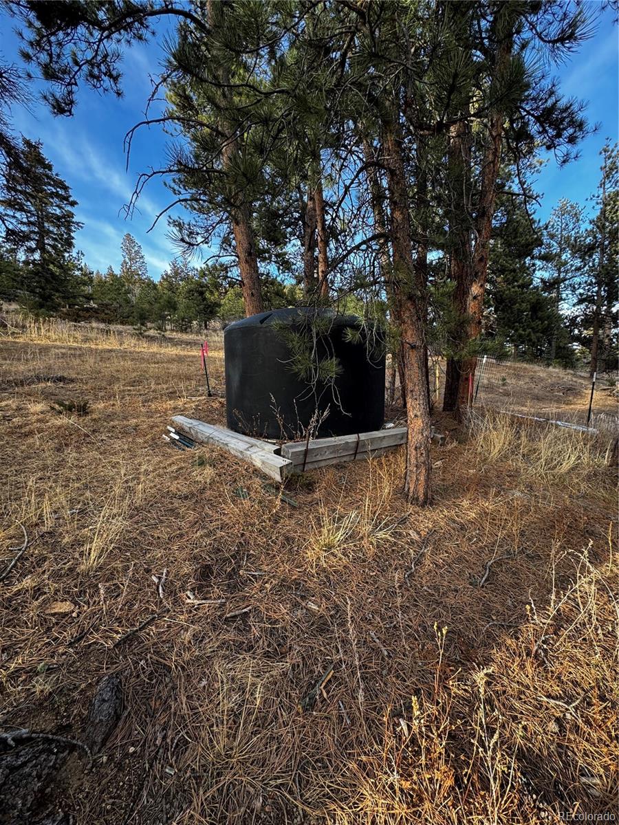 10627 Twin Spruce Road Golden CO 80403