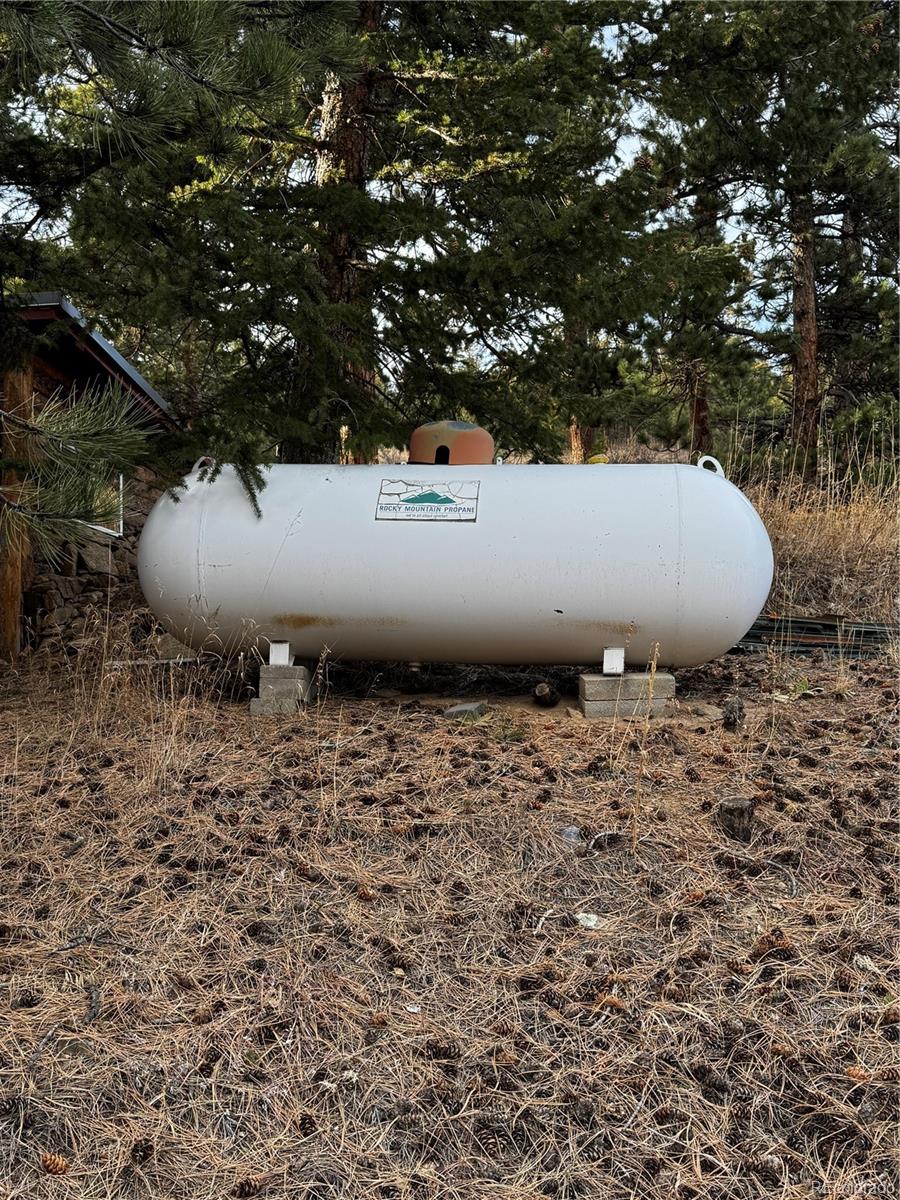10627 Twin Spruce Road Golden CO 80403