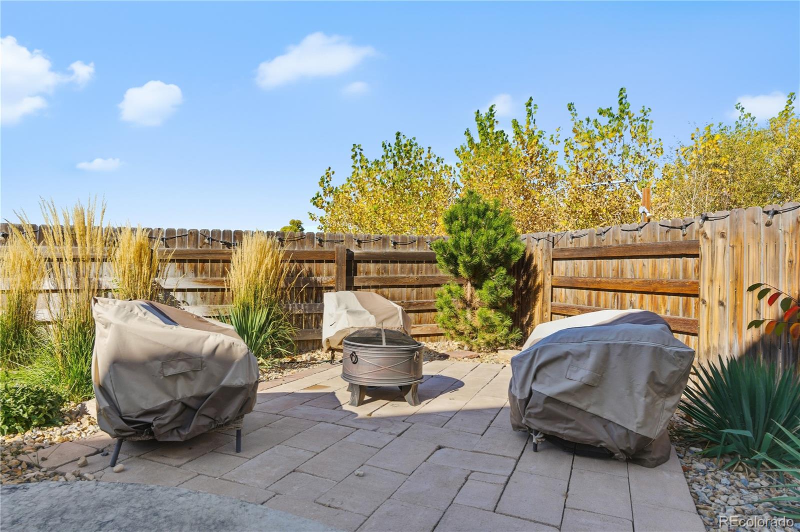 567 Xavier Drive Brighton CO 80603
