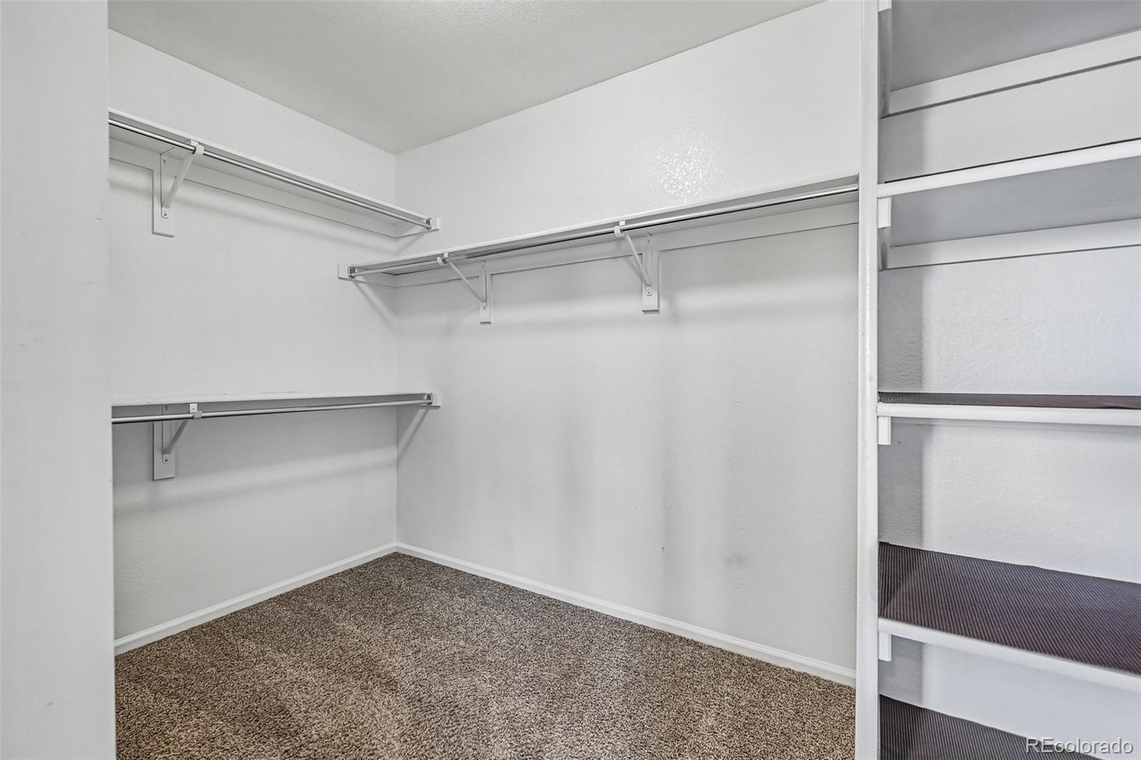 8645 Torrey Street Arvada CO 80007