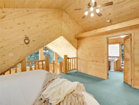 226 Bandit Lane Bailey CO 80421