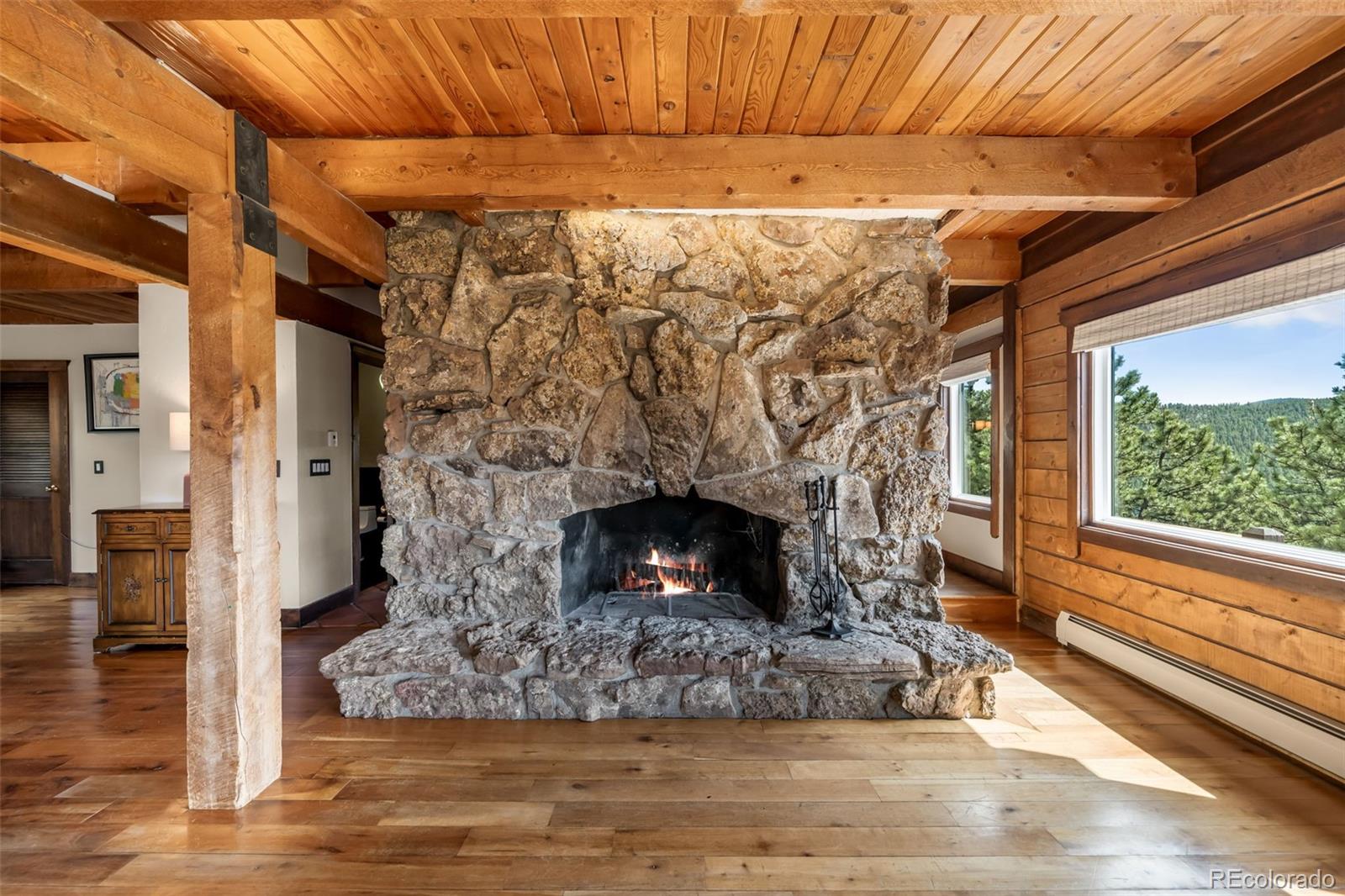 3890 S Skyline Drive Evergreen CO 80439