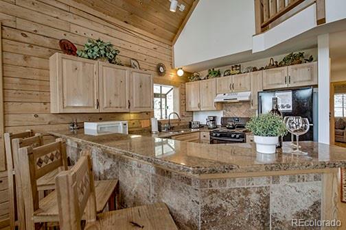 146 Protector Place Breckenridge CO 80424
