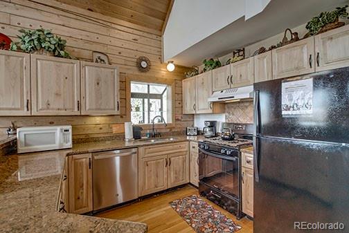 146 Protector Place Breckenridge CO 80424