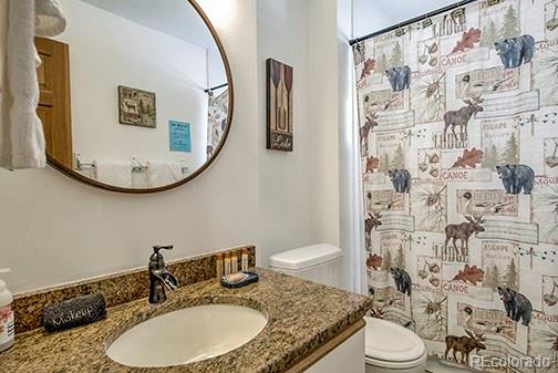 146 Protector Place Breckenridge CO 80424
