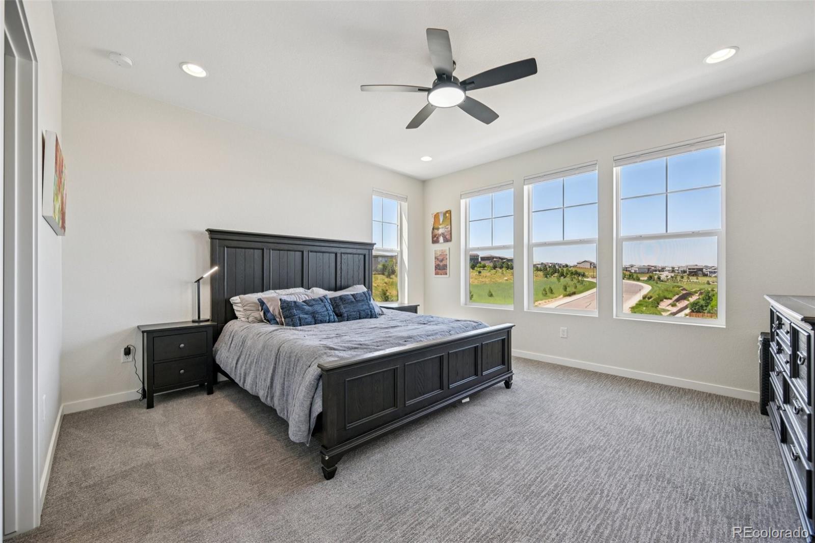 14952 Gladshine Drive Parker CO 80134