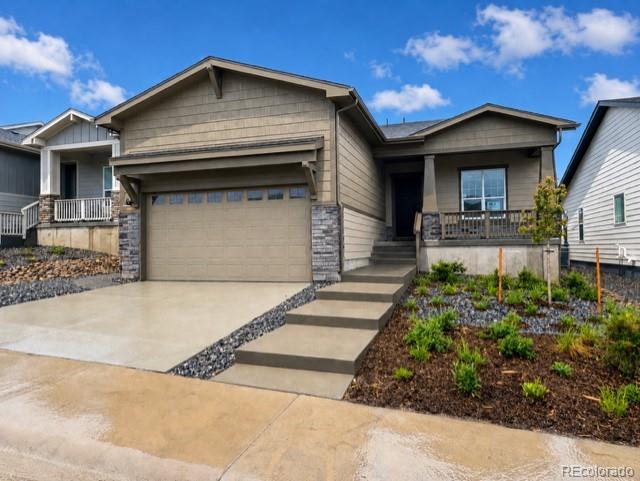 463 Basin Daisy Street Castle Rock CO 80104