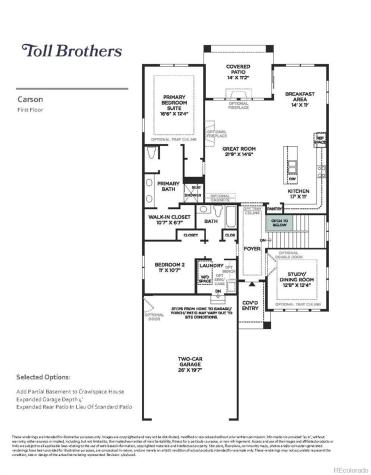 463 Basin Daisy Street Castle Rock CO 80104