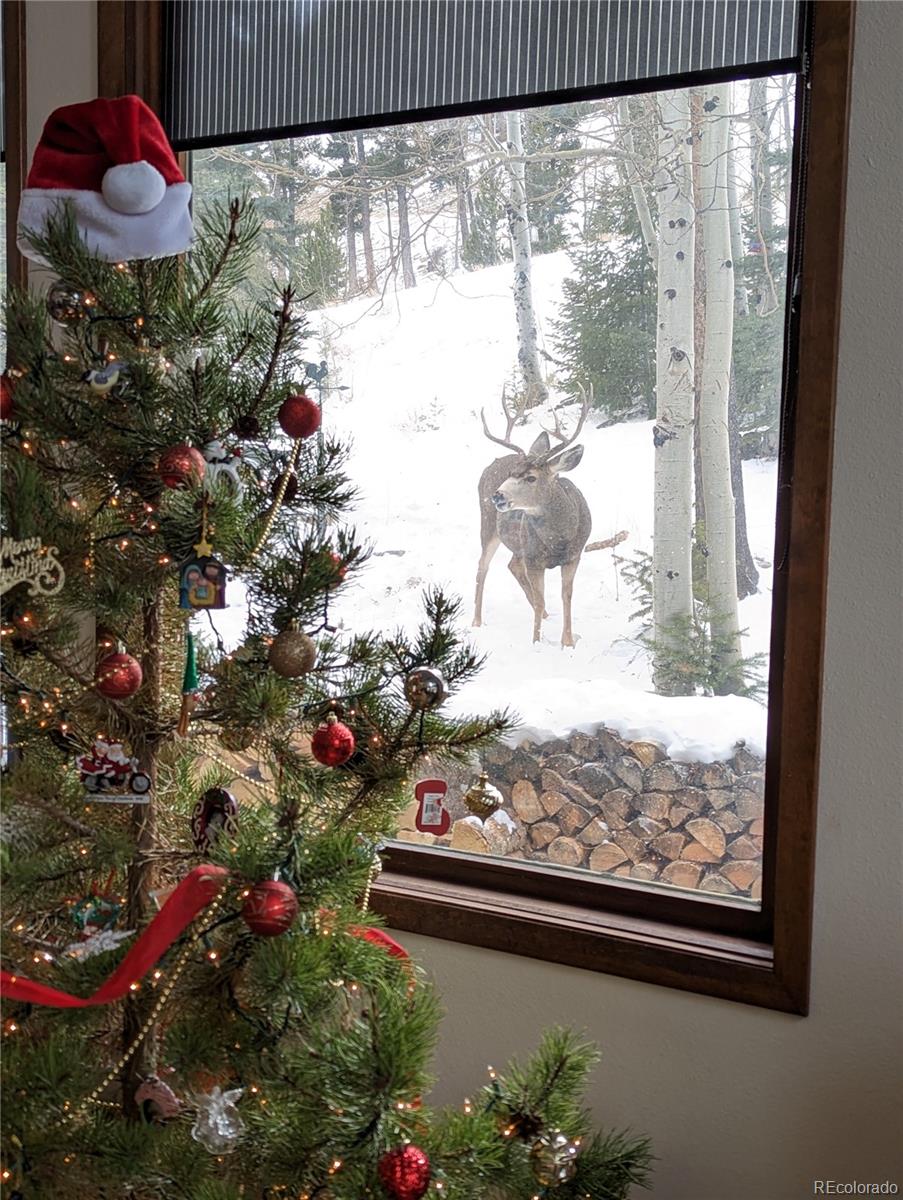 2080 Santa Fe Mountain Road Evergreen CO 80439