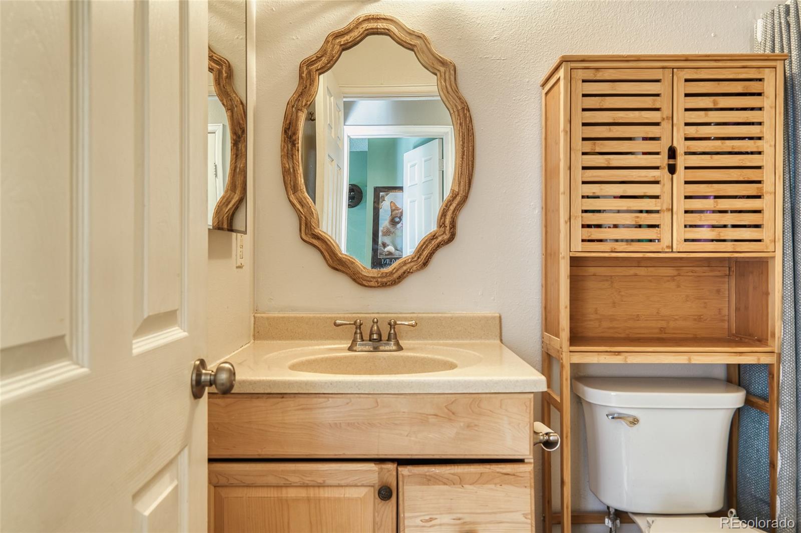 4106 S Laredo Way Aurora CO 80013