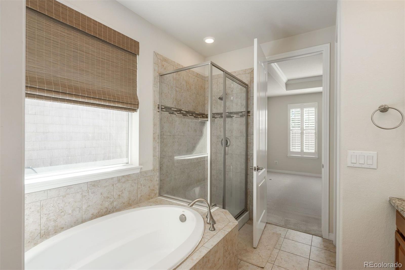 2414 Leafdale Circle Castle Rock CO 80109