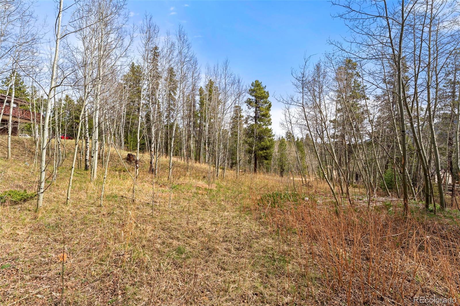 418 Athena Road Black Hawk CO 80422
