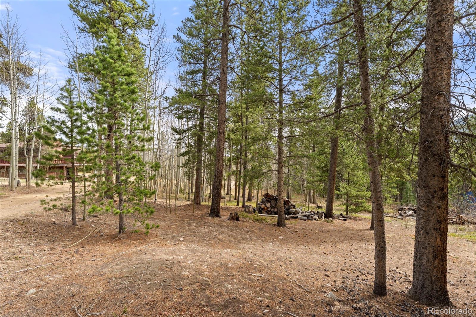 418 Athena Road Black Hawk CO 80422