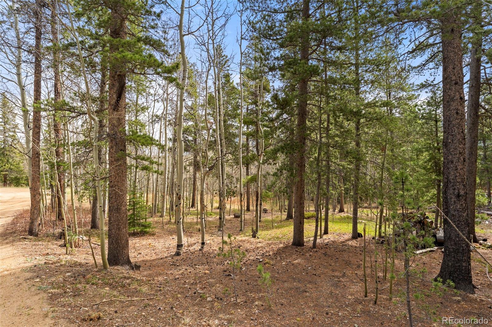 418 Athena Road Black Hawk CO 80422