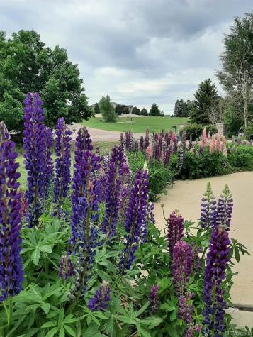 1009 Slate Way Monument CO 80132