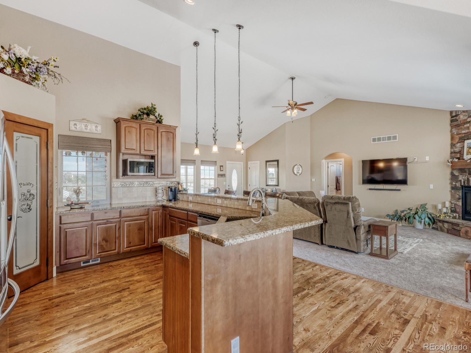 34623 E 10th Drive Watkins CO 80137