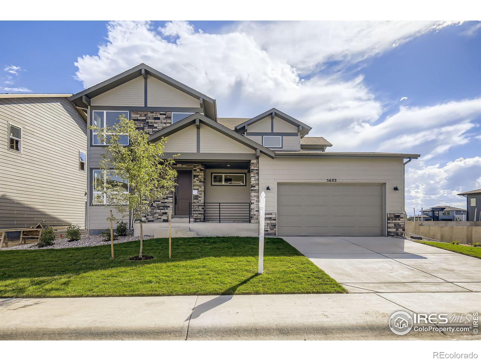 5603 Zadie Avenue Timnath CO 80547