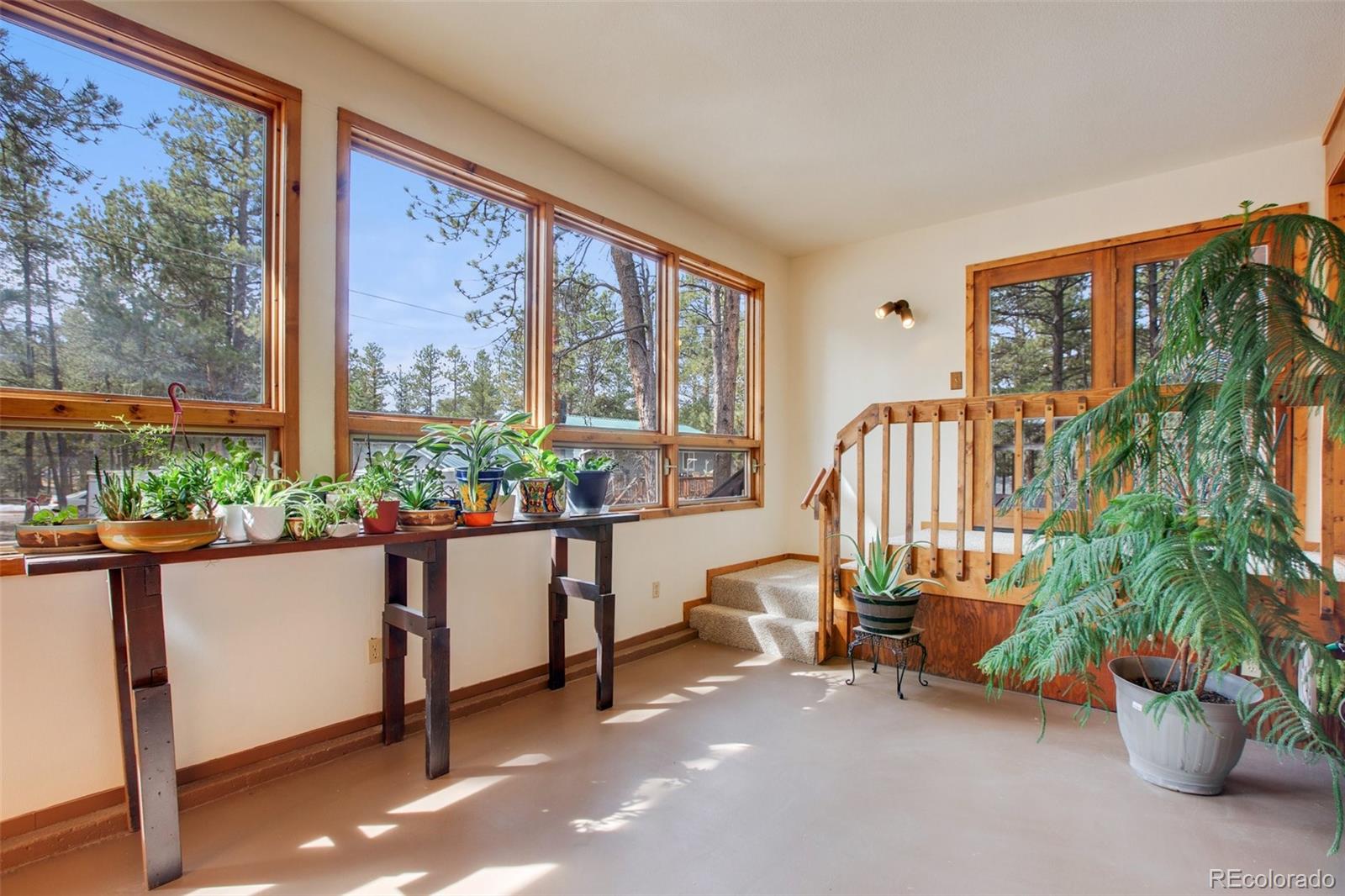 725 Sunnywood Loop Woodland Park CO 80863