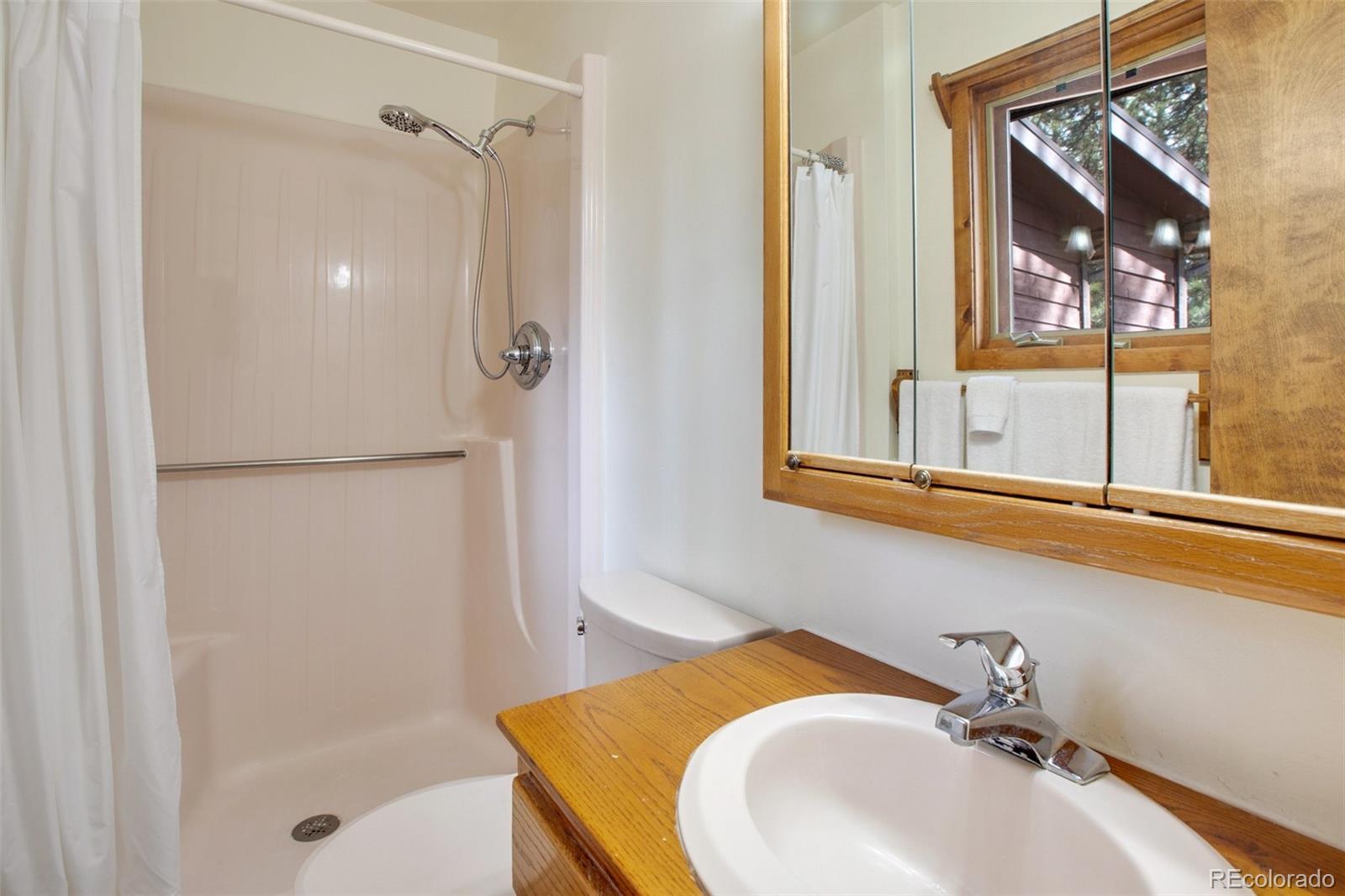 725 Sunnywood Loop Woodland Park CO 80863