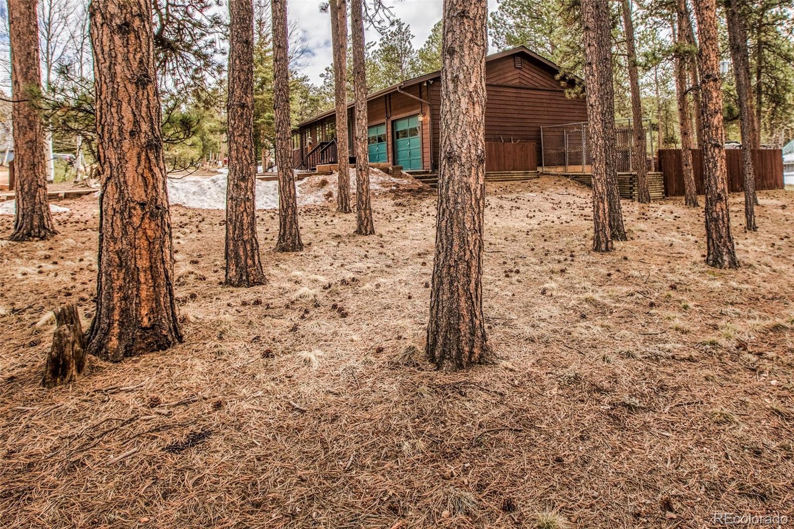 725 Sunnywood Loop Woodland Park CO 80863