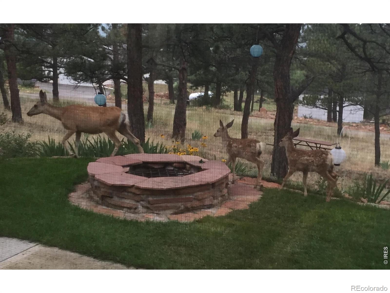 4000 Fawn Trail Loveland CO 80537