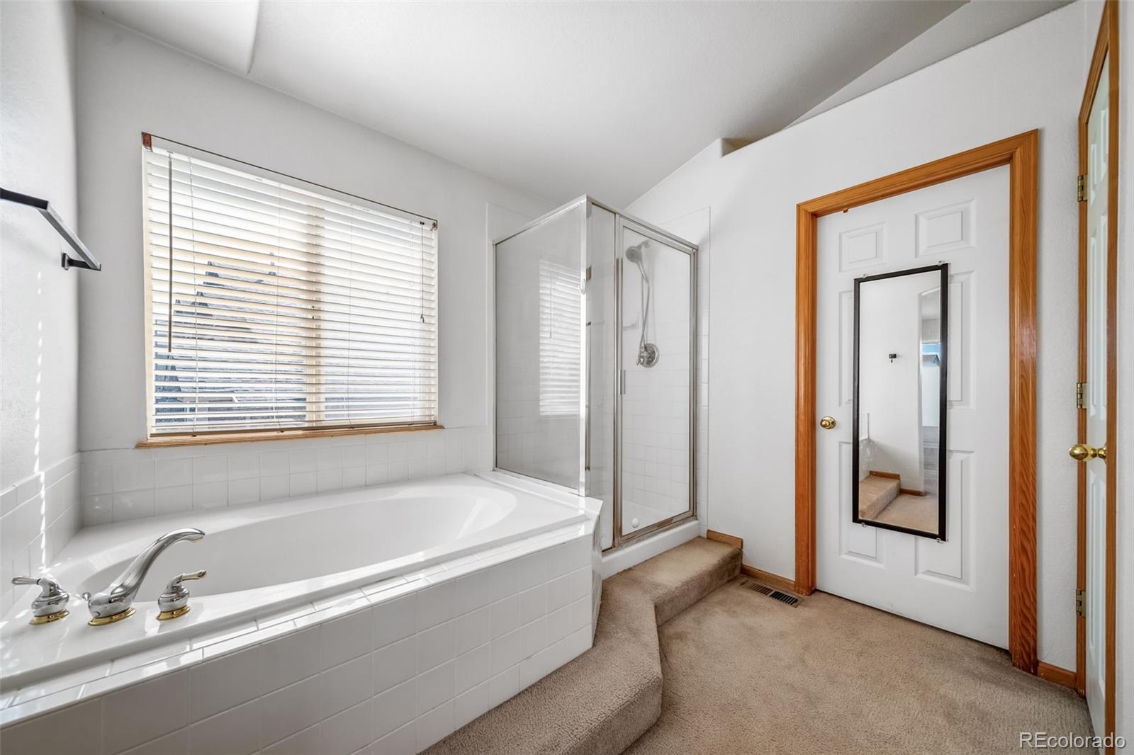 10858 Willow Reed Circle E Parker CO 80134