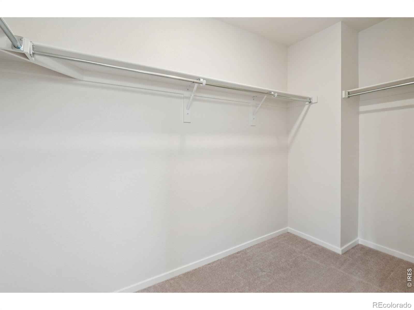 5672 Jedidiah Drive Timnath CO 80547
