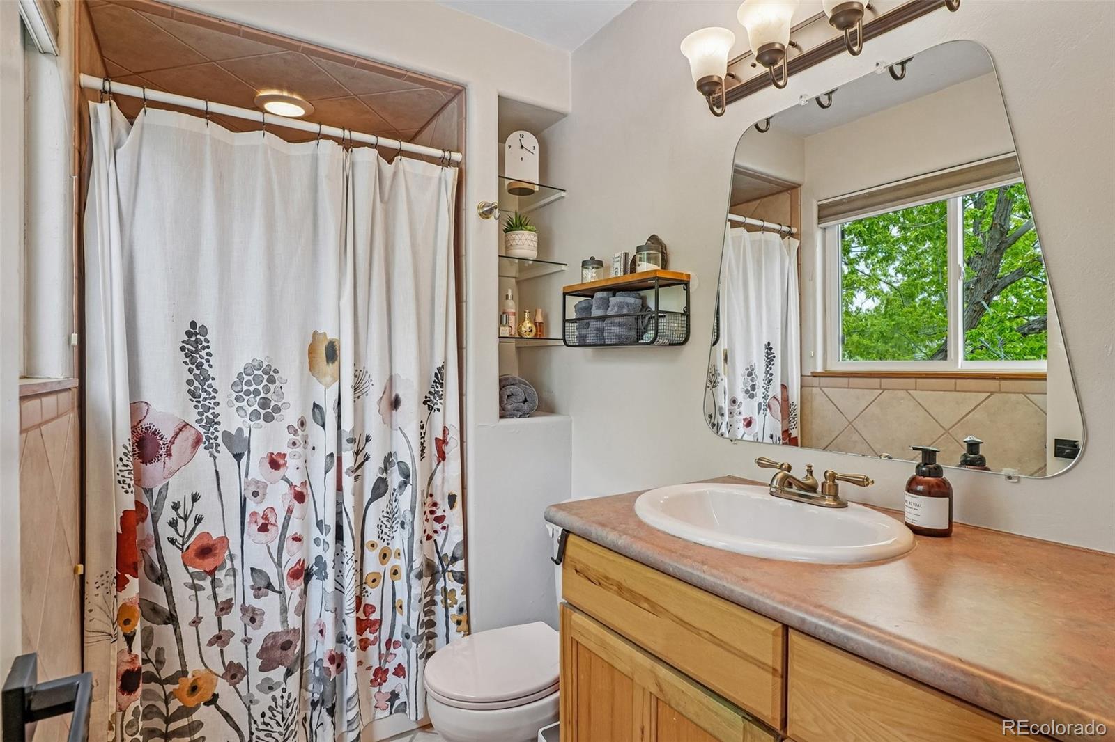 956 Mountain View Drive Castle Rock CO 80104