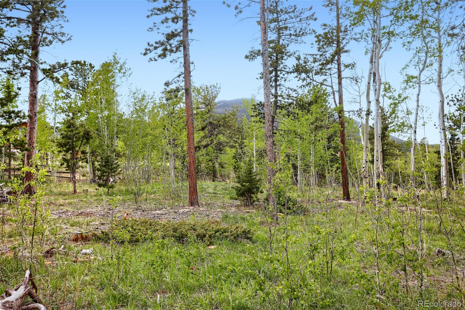 2 Debra Ann Road Golden CO 80403