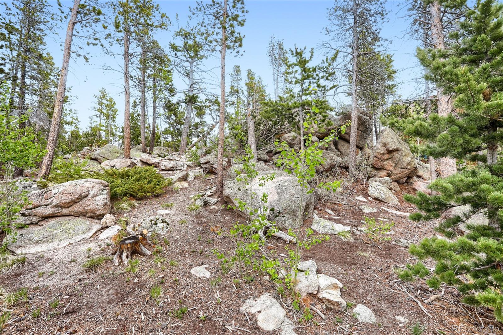 2 Debra Ann Road Golden CO 80403