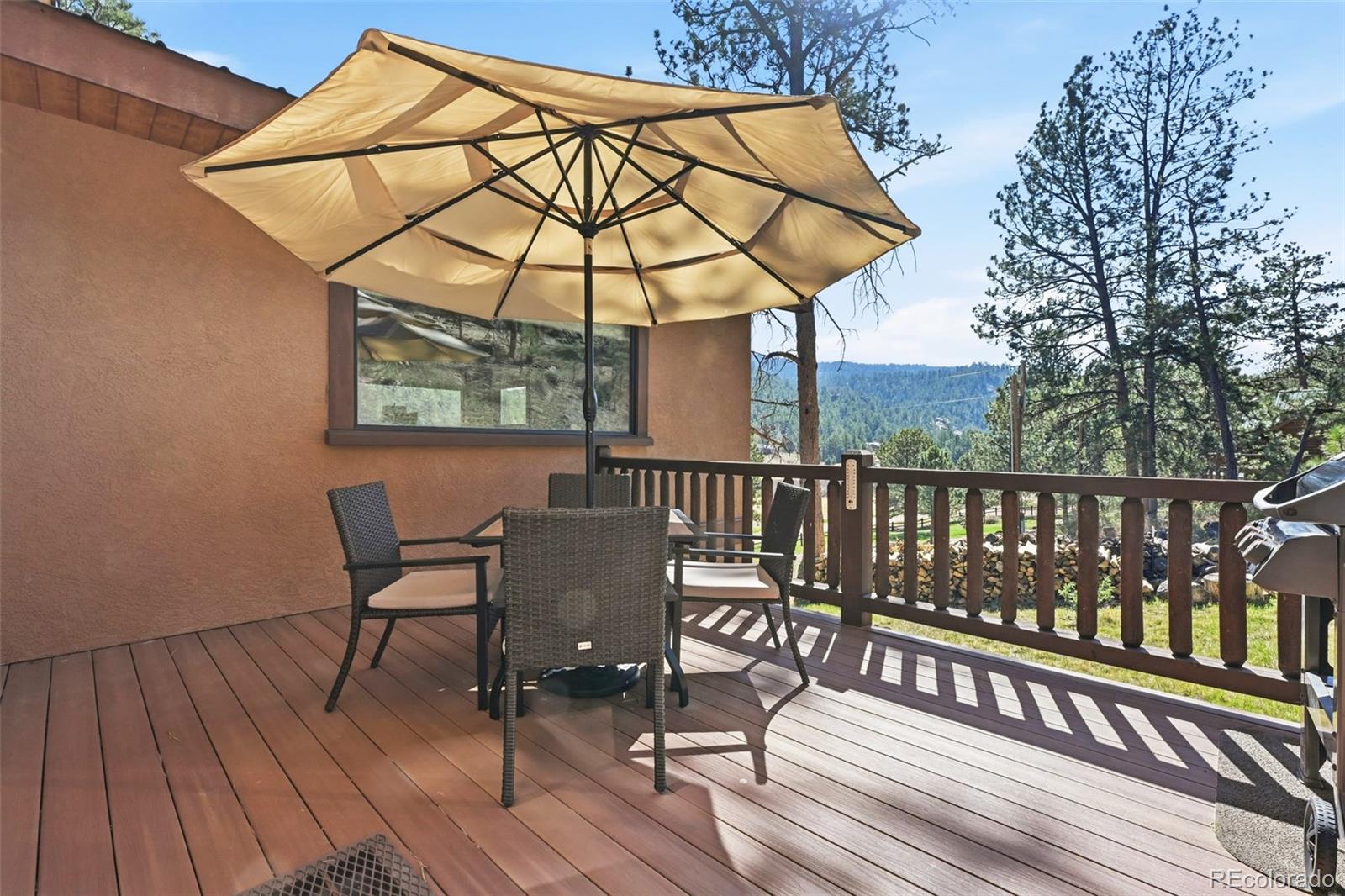 89 Ranch View Florissant CO 80816